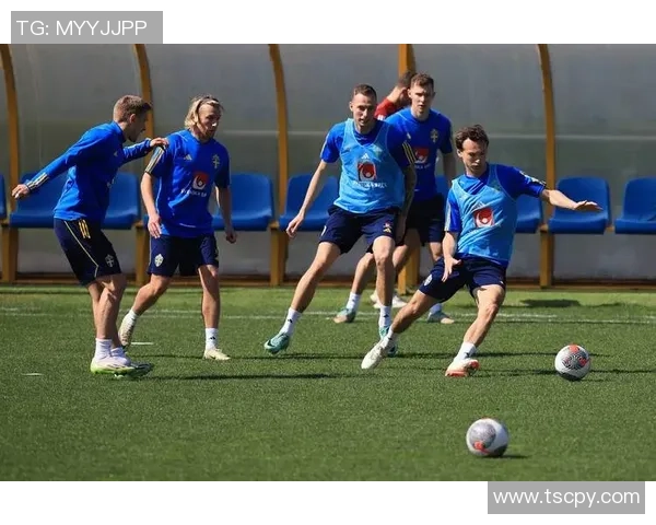 瑞典与法国友谊赛精彩回顾与赛后分析 瑞典与法国友谊赛精彩回顾与赛后分析